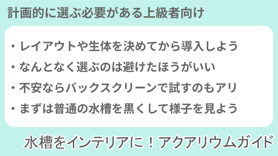 ブラック水槽の人気についての説明画像