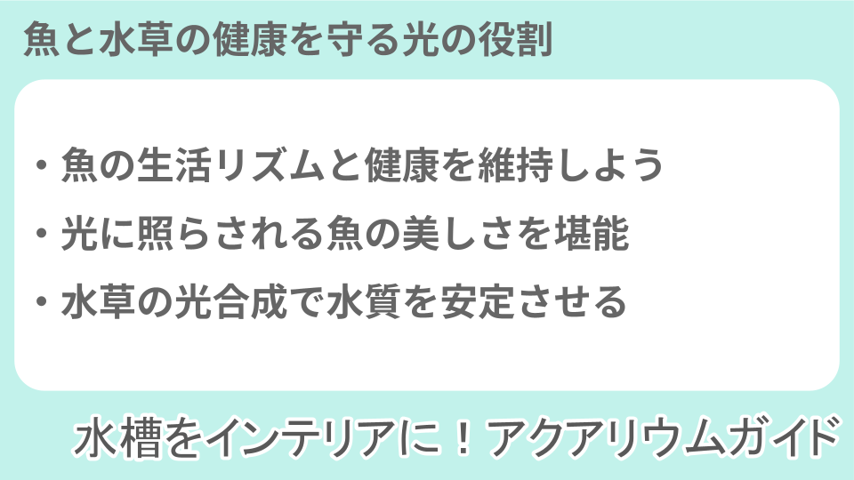 光の重要性についての説明画像