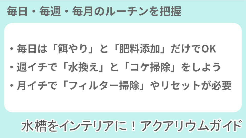 アクアリウムの維持に必要な作業についての説明画像