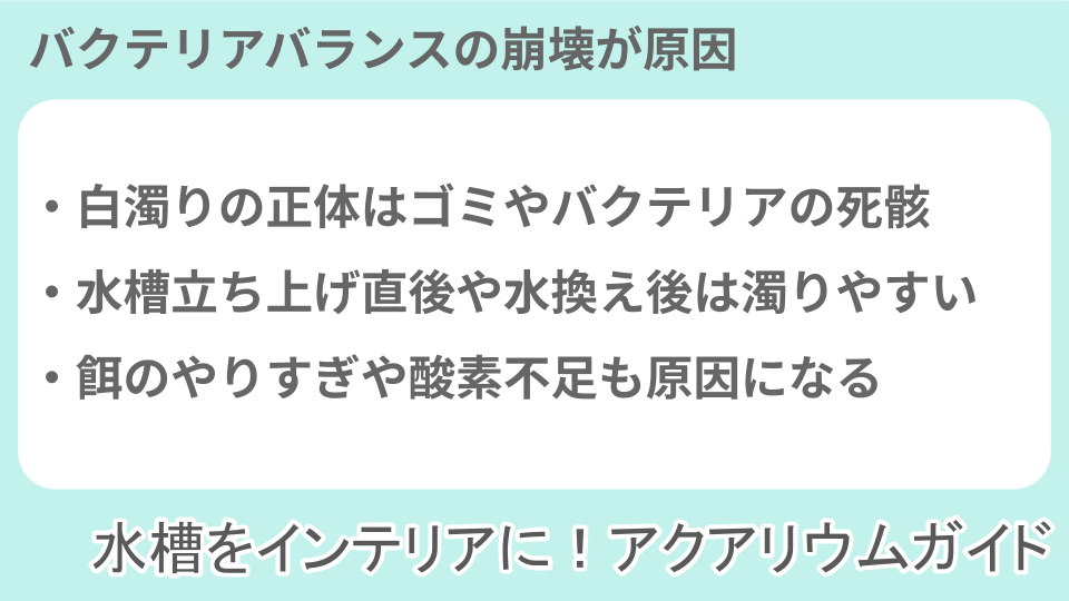 アクアリウムの白濁についての説明画像
