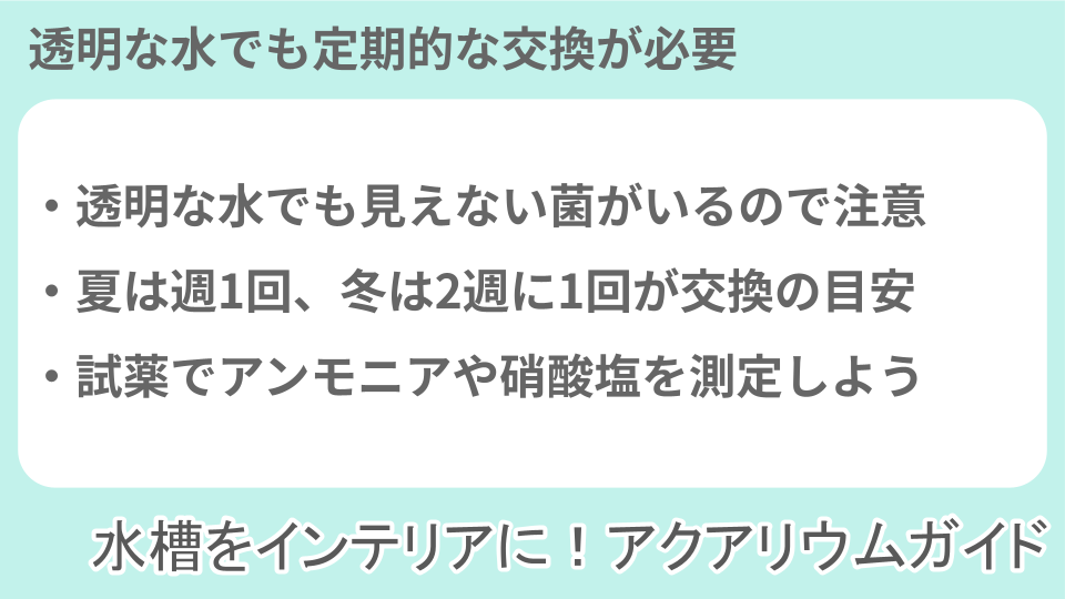 水の入れ替え時期についての説明画像