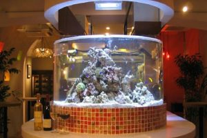 ビルシステムの水槽設置例