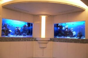 ビルシステムの水槽設置例