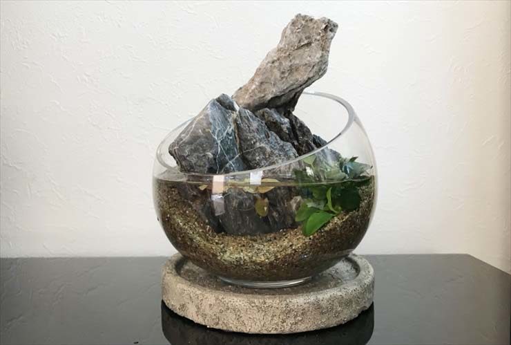 管理がしやすいアクアリウム・水槽