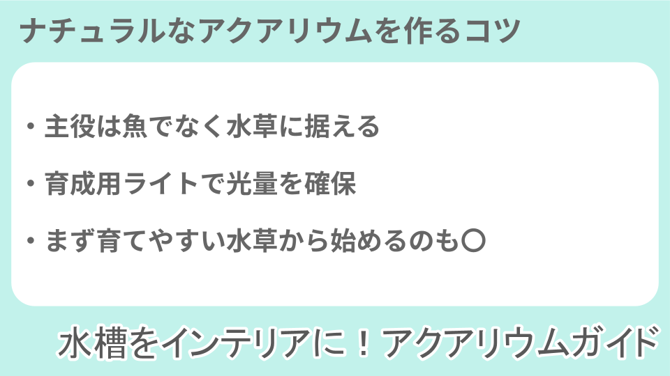 ナチュラルなアクアリウムを作るコツについての説明画像